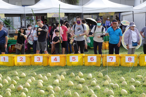 新北文旦柚展售會7日登場 食農闖關送文旦