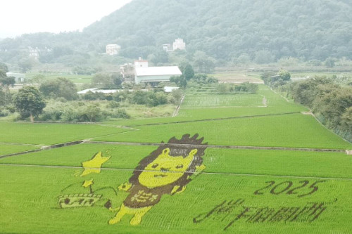 皮皮獅現蹤！關西稻田彩繪九月繽紛登場　9/20–9/21盛大開幕等你來