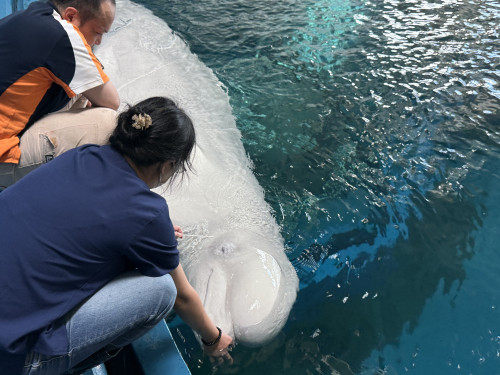 探索屏東海生館年度眼睛健檢 看超萌海洋生物們如何反應