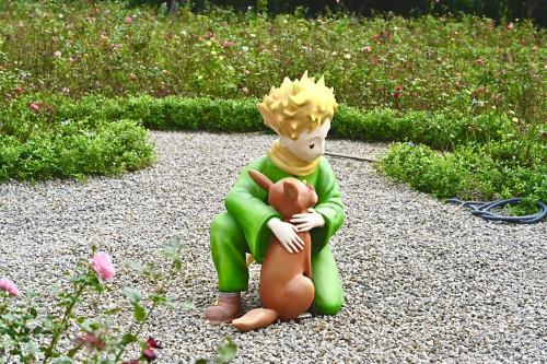 東海大學誕生小王子玫瑰花園  校友黃騰輝2萬玫瑰獻禮母校