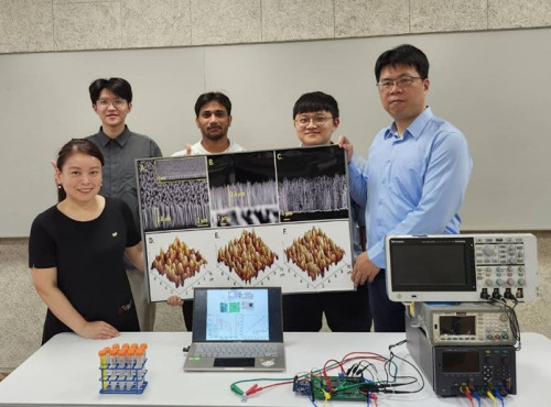 食品微生物感測技術新突破：中興大學開發奈米刷狀結構微生物感測器