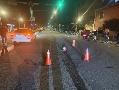 公車夜路輾斃遊蕩犬隻 駕駛逃逸移送法辦