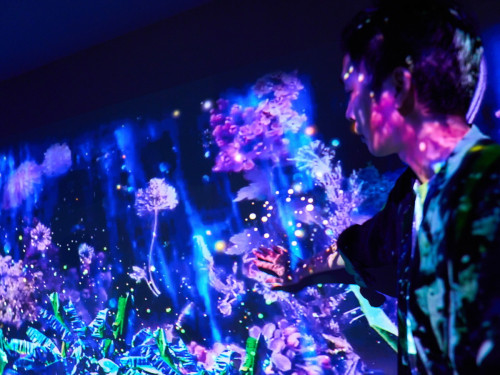 沉浸光影結合茶席文化-「緩緩坪林」打造台北近郊低碳旅遊新亮點