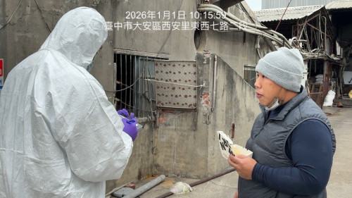 元旦起恢復餐廳廚餘養豬 中市府展開高密度稽查 