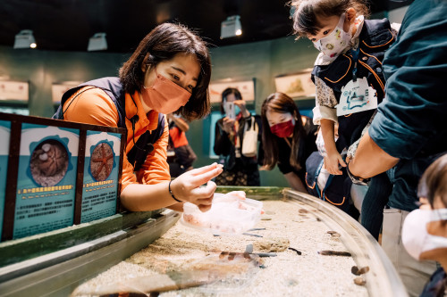 屏東海生館迷你解說員親子營 深化海洋生態保育共學體驗