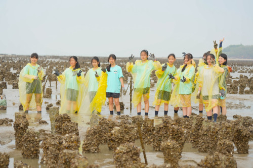 金寧石蚵文化季採蚵小健將體驗登場 帶著蚵田記憶出發