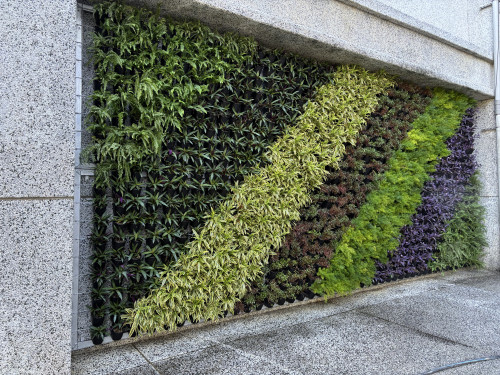 中市環保局推「廣植栽、廣植林」積極 輔導學校、社區、企業共同打造花園城市