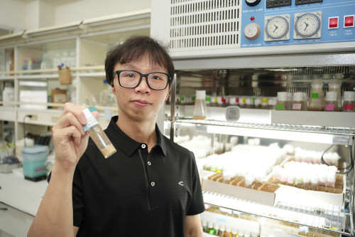 父齡效應  影響的可能不只是精子突變  中興大學團隊用雄果蠅發現：精子幹細胞競爭與老化選汰的分子機制