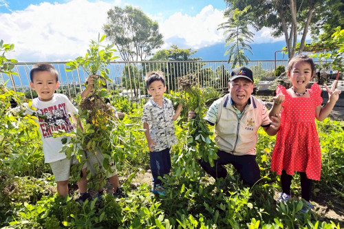 花蓮榮家老幼共融採花生 分享田園豐收喜悅    
