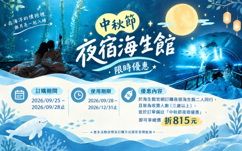 海生館推中秋專屬夜宿優惠 一窺企鵝浪漫求偶超萌孵卵