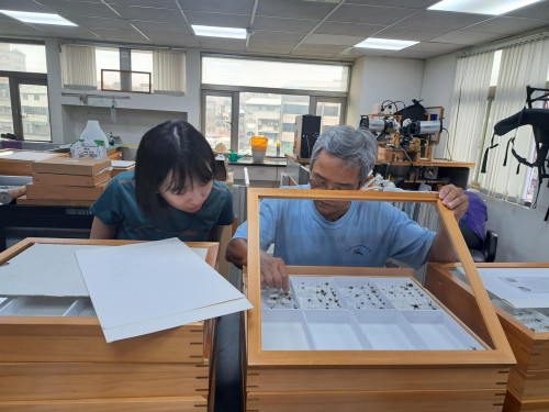 缺席直升大學 洪沛潔探索2年確認志向  特殊選才進興大昆蟲系