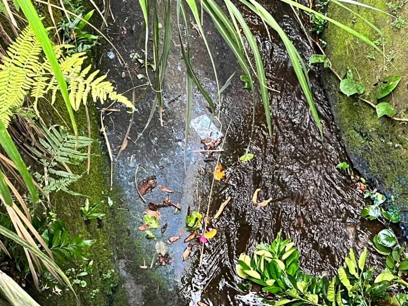 牛欄河變牛奶河！民衆隨意傾倒油漆廢水  桃市環保局迅速破案依法告發