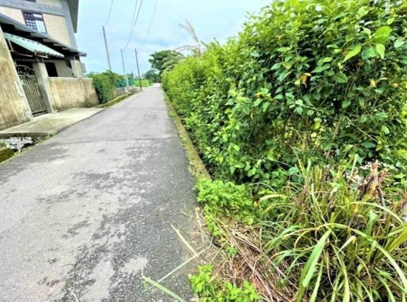 中壢月桃路一段381巷道路拓寬完工通車 建構良好便捷的交通路網