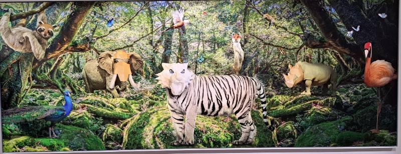 用藝術感受 南美館新展散發愛洛蒙 動物心群像新樂園