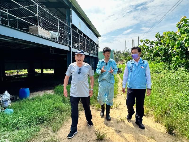 青農經營風車畜牧場羊肉品牌有成 陳福海：持續整合培育青年創業