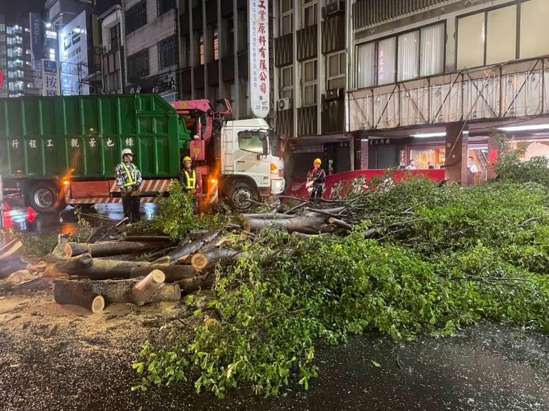 海葵颱風帶來強風造成行道樹倒塌 工務局全力處理 排除交通障礙維護安全