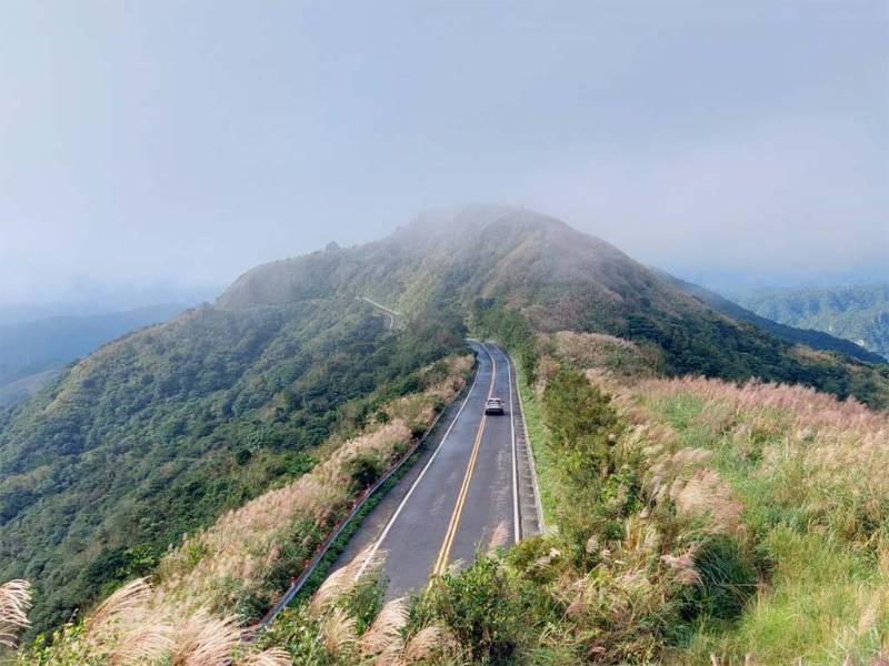 秋芒翻飛九份山城 捕捉浪漫秋日之旅