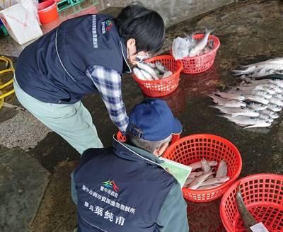 中市府抽驗1,162件水產及日本食品全數合格   嚴密把關核食  