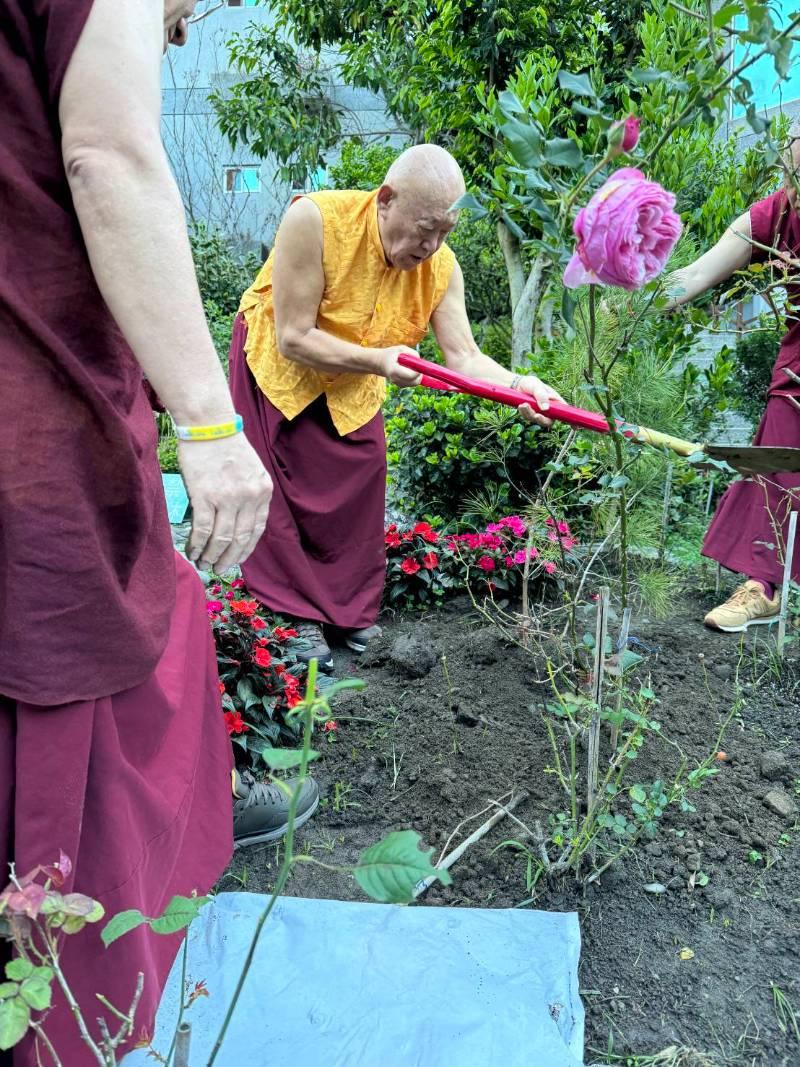 藏傳佛教直貢法王釋迦牟尼佛涅槃日加持   祝福神木谷期再創千年傳奇