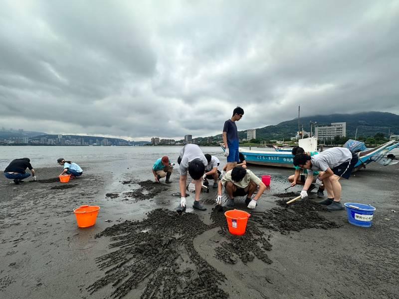 建中師生參訪新北八里國中 左岸沙灘挖文蛤 校園觀察領角鴞育雛