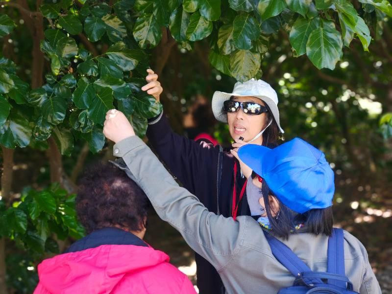 感官漫遊新美館6/22戶外園區生態導覽、音樂、市集、派對登場！