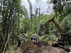 台電高雄、鳳山區處攜手強韌電網  今年比去年同期停電減少