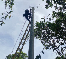 山陀兒颱風造成新竹地區大小停電事故　台電新竹全力搶修今晚6點皆已復電