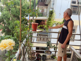 彰化榮家綠手指  榮民化身拈花惹草高手打造空中花園