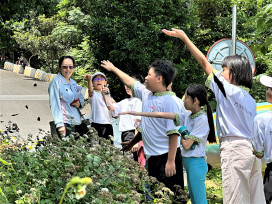 新北113校園川山家計畫 39校師生攜手打造生態發展基地