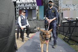 警犬出動 全面啟動2025台南好young 跨年晚會安全維護 迎來史上最隆重、最華麗的演出陣容