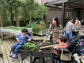 八里愛心教養院園藝 從播種到採摘入菜 院生五感體驗生命美好