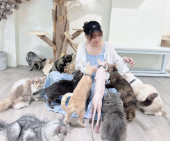 台南捷絲旅超萌旅宿新玩法 虎山館推「撸貓」特寵體驗