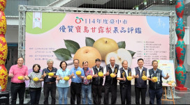  農友曾瑞東勇奪寶島甘露梨王！台中市寶島甘露梨果品評鑑結果8/29揭曉