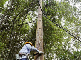 楊柳颱風外圍環流造成多起停電事故　台電新竹區處緊急搶修全面復電