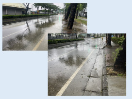 迅速排除神農路積水   水利局:樹葉阻塞排水所致
