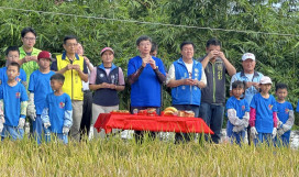 長坑國小「福田稻米收割活動」從泥巴到餐桌 落實SDGs目標 