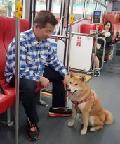 毛孩也能當乘客！新北市友善寵物公車新增藍15線