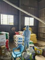 高雄市全面禁止廚餘養豬　所有再利用養豬場未來均改用飼料餵飼