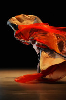 「2025樹林跳：跳島舞蹈節」樹林藝文中心 10/21-11/2 盛大開跳！