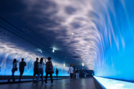 「台中海洋館」歷經3任市長終開幕！盧秀燕：4大創舉實現孩童夢想