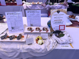 2025 TIFBC 臺南美食賽完美落幕 在地選手霸榜展現美食首都實力