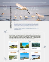 《魚頭君帶路》  冬季有約·跟著鳥兒去旅行