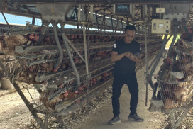 高市嚴把食安關卡　 動保處牧場端抽檢全數合格、杜絕違法用藥