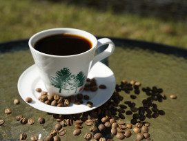 永續經營的典範―國立中興大學惠蓀林場咖啡豆   全球唯一全程通過FSC產銷監管鏈