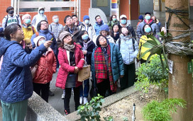 守護校園綠蔭安全　新北教育局攜手農業局強化樹木健康管理專業