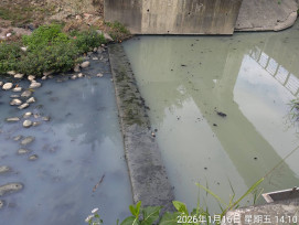 檨仔林埤濕地公園污水溢流  水利局:昨已清除堵塞物恢復運作