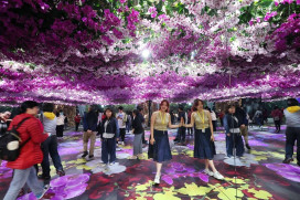 2026 臺灣國際蘭展 2/27 登場 臺南推日賞蘭花夜逛燈會遊程