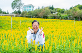 2026魯冰花季盛大開幕 張善政力邀國人來龍潭賞花