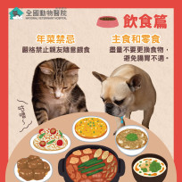 希望用不上、有事全國幫！ 全國動物醫院連鎖體系3分院春節照常看診