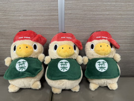 臺南市政府工務局推廣公園特色遊戲場